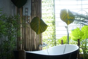 Bông homestay Biên Hòa